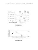 MSP Nanopores and Related Methods diagram and image