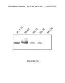 MSP Nanopores and Related Methods diagram and image