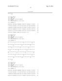 FCRN-SPECIFIC HUMAN ANTIBODY AND COMPOSITION FOR TREATMENT OF AUTOIMMUNE     DISEASES diagram and image