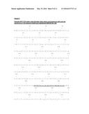 T CELL RECEPTORS diagram and image