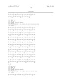 T CELL RECEPTORS diagram and image