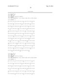 T CELL RECEPTORS diagram and image