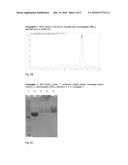 ANTIBODIES FOR PREVENTION AND TREATMENT OF DISEASES CAUSED BY CLOSTRIDIUM     DIFFICILE diagram and image