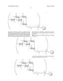 ANTIBODIES FOR PREVENTION AND TREATMENT OF DISEASES CAUSED BY CLOSTRIDIUM     DIFFICILE diagram and image