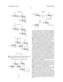 ANTIBODIES FOR PREVENTION AND TREATMENT OF DISEASES CAUSED BY CLOSTRIDIUM     DIFFICILE diagram and image