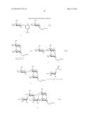 ANTIBODIES FOR PREVENTION AND TREATMENT OF DISEASES CAUSED BY CLOSTRIDIUM     DIFFICILE diagram and image