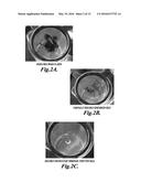 PACKAGING FORMULATION FOR PREVENTING THE INSOLUBILITY OF     CHITOSAN-CONTAINING COMPOSITIONS diagram and image