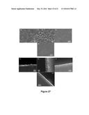 MULTISCALE POROUS POLYMER FILMS diagram and image