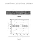 MULTISCALE POROUS POLYMER FILMS diagram and image