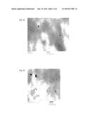 POLYARYLENE SULFIDE RESIN COMPOSITION AND METHOD FOR PRODUCING SAME diagram and image