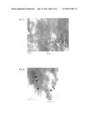 POLYARYLENE SULFIDE RESIN COMPOSITION AND METHOD FOR PRODUCING SAME diagram and image