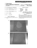 ANTI EFFLORESCENCE COMPOSITION diagram and image