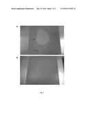 ANTI EFFLORESCENCE COMPOSITION diagram and image