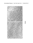 COMPOSITIONS OF AND METHODS FOR USING HYDRAULIC FRACTURING FLUID FOR     PETROLEUM PRODUCTION diagram and image