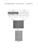 A Microfluidic Device with a Diffusion Barrier diagram and image
