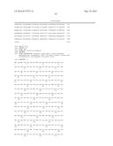 TRANSGENIC ALGAE ENGINEERED FOR HIGHER PERFORMANCE diagram and image