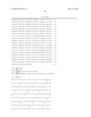 TRANSGENIC ALGAE ENGINEERED FOR HIGHER PERFORMANCE diagram and image