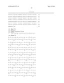 TRANSGENIC ALGAE ENGINEERED FOR HIGHER PERFORMANCE diagram and image