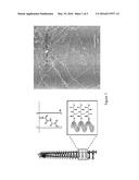 POLYMER SUITABLE FOR USE IN CELL CULTURE diagram and image