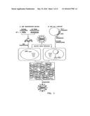 Recombinant Influenza Viruses for Vaccines and Gene Therapy diagram and image