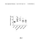 MICRORNA COMPOUNDS AND METHODS FOR MODULATING MIR-21 ACTIVITY diagram and image