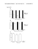 Block Decoys diagram and image