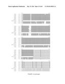 Novel Genes Involved In Biosynthesis diagram and image