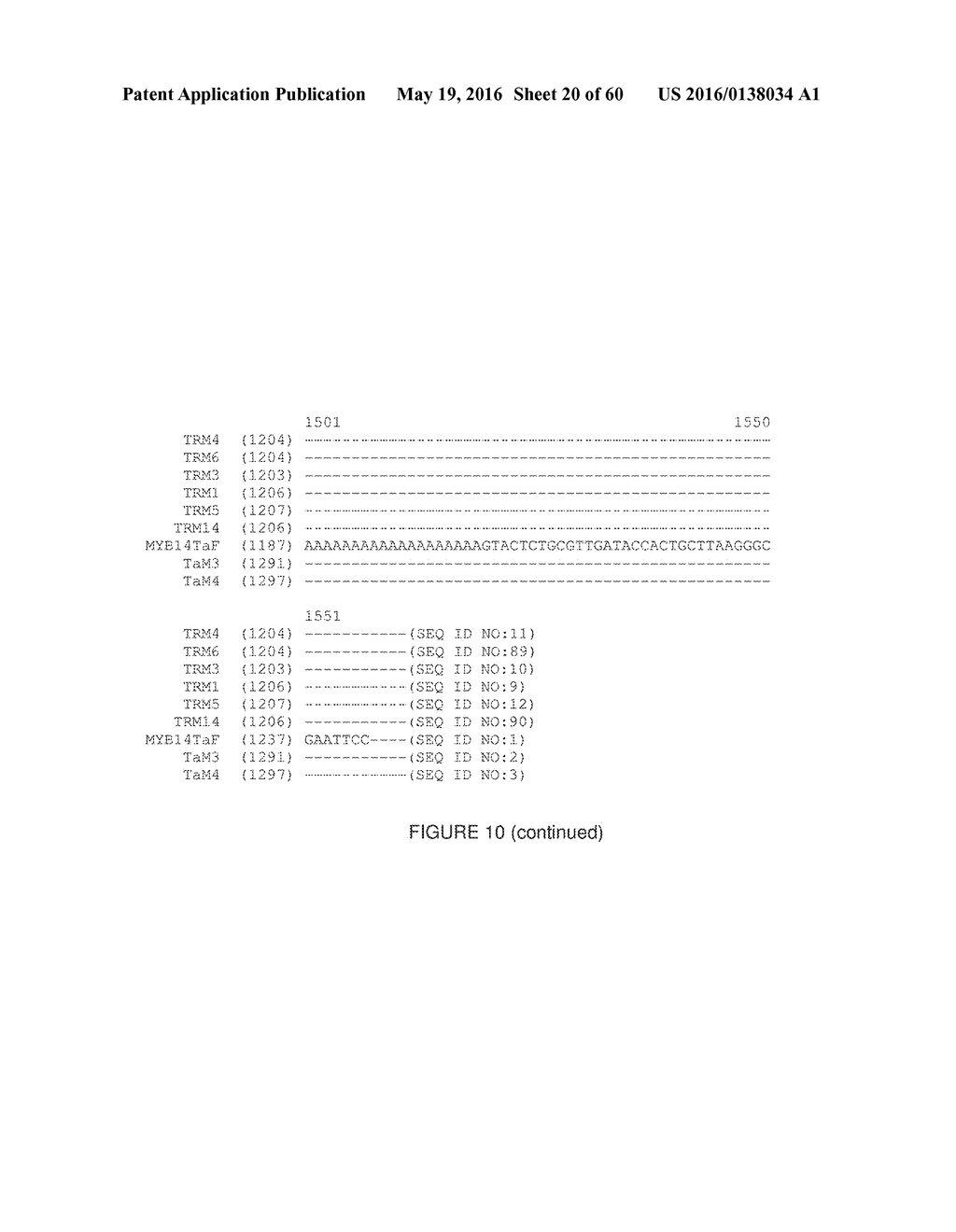 Novel Genes Involved In Biosynthesis - diagram, schematic, and image 21