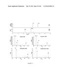 Novel Genes Involved In Biosynthesis diagram and image