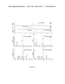 Novel Genes Involved In Biosynthesis diagram and image