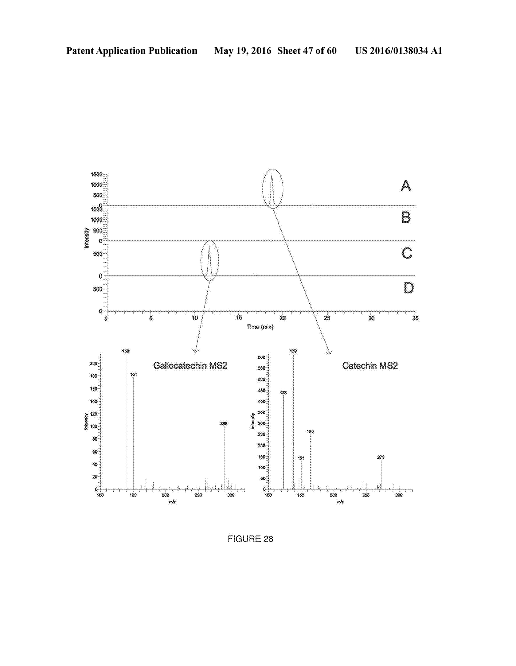 Novel Genes Involved In Biosynthesis - diagram, schematic, and image 48