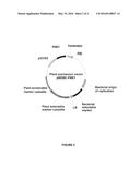 PLANTS HAVING ONE OR MORE ENHANCED YIELD-RELATED TRAITS AND A METHOD FOR     MAKING THE SAME diagram and image