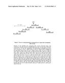 IDENTIFICATION OF A XANTHOMONAS EUVESICATORIA RESISTANCE GENE FROM PEPPER     (CAPSICUM ANNUUM) AND METHOD FOR GENERATING PLANTS WITH RESISTANCE diagram and image