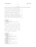 IDENTIFICATION OF A XANTHOMONAS EUVESICATORIA RESISTANCE GENE FROM PEPPER     (CAPSICUM ANNUUM) AND METHOD FOR GENERATING PLANTS WITH RESISTANCE diagram and image