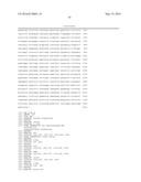 IDENTIFICATION OF A XANTHOMONAS EUVESICATORIA RESISTANCE GENE FROM PEPPER     (CAPSICUM ANNUUM) AND METHOD FOR GENERATING PLANTS WITH RESISTANCE diagram and image