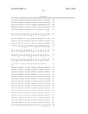 IDENTIFICATION OF A XANTHOMONAS EUVESICATORIA RESISTANCE GENE FROM PEPPER     (CAPSICUM ANNUUM) AND METHOD FOR GENERATING PLANTS WITH RESISTANCE diagram and image