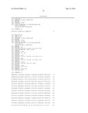 IDENTIFICATION OF A XANTHOMONAS EUVESICATORIA RESISTANCE GENE FROM PEPPER     (CAPSICUM ANNUUM) AND METHOD FOR GENERATING PLANTS WITH RESISTANCE diagram and image