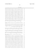 IDENTIFICATION OF A XANTHOMONAS EUVESICATORIA RESISTANCE GENE FROM PEPPER     (CAPSICUM ANNUUM) AND METHOD FOR GENERATING PLANTS WITH RESISTANCE diagram and image