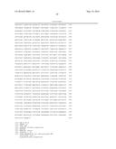 IDENTIFICATION OF A XANTHOMONAS EUVESICATORIA RESISTANCE GENE FROM PEPPER     (CAPSICUM ANNUUM) AND METHOD FOR GENERATING PLANTS WITH RESISTANCE diagram and image