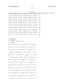 METHOD FOR PRODUCING ORGANIC COMPOSITIONS FROM OXYHYDROGEN AND CO2 VIA     ACETOACETYL-COA AS INTERMEDIATE PRODUCT diagram and image