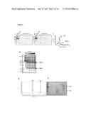 METHODS FOR THE EXPRESSION OF PEPTIDES AND PROTEINS diagram and image