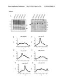 METHODS FOR THE EXPRESSION OF PEPTIDES AND PROTEINS diagram and image