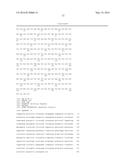 METHODS FOR THE EXPRESSION OF PEPTIDES AND PROTEINS diagram and image