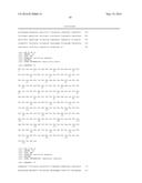 METHODS FOR THE EXPRESSION OF PEPTIDES AND PROTEINS diagram and image