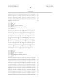 METHODS FOR THE EXPRESSION OF PEPTIDES AND PROTEINS diagram and image