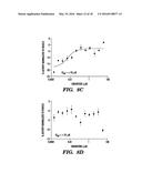 MONITORING AND ASSESSING DEACETYLASE ENZYME ACTIVITY diagram and image