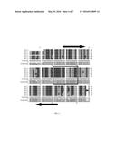 QUANTITATIVE MULTIPLEXED IDENTIFICATION OF NUCLEIC ACID TARGETS diagram and image