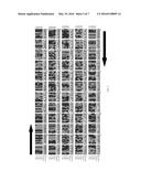 QUANTITATIVE MULTIPLEXED IDENTIFICATION OF NUCLEIC ACID TARGETS diagram and image