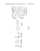 NON-INVASIVE BLOOD BASED MONITORING OF GENOMIC ALTERATIONS IN CANCER diagram and image