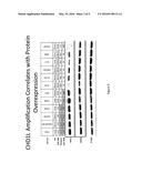 Biomarkers of Response to Inhibition of Poly-ADP Ribose Polymerase (PARP)     in Cancer diagram and image